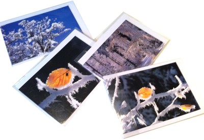 Cartes hiver 2010 de Jean-Paul Girard