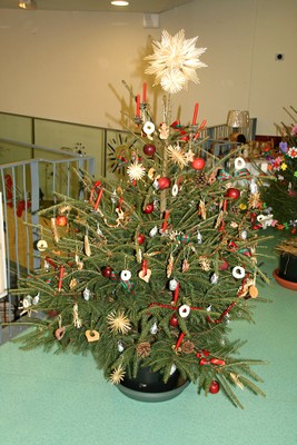 Sapin Cercle d'Histoire 1