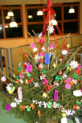 Sapin polonais 1
