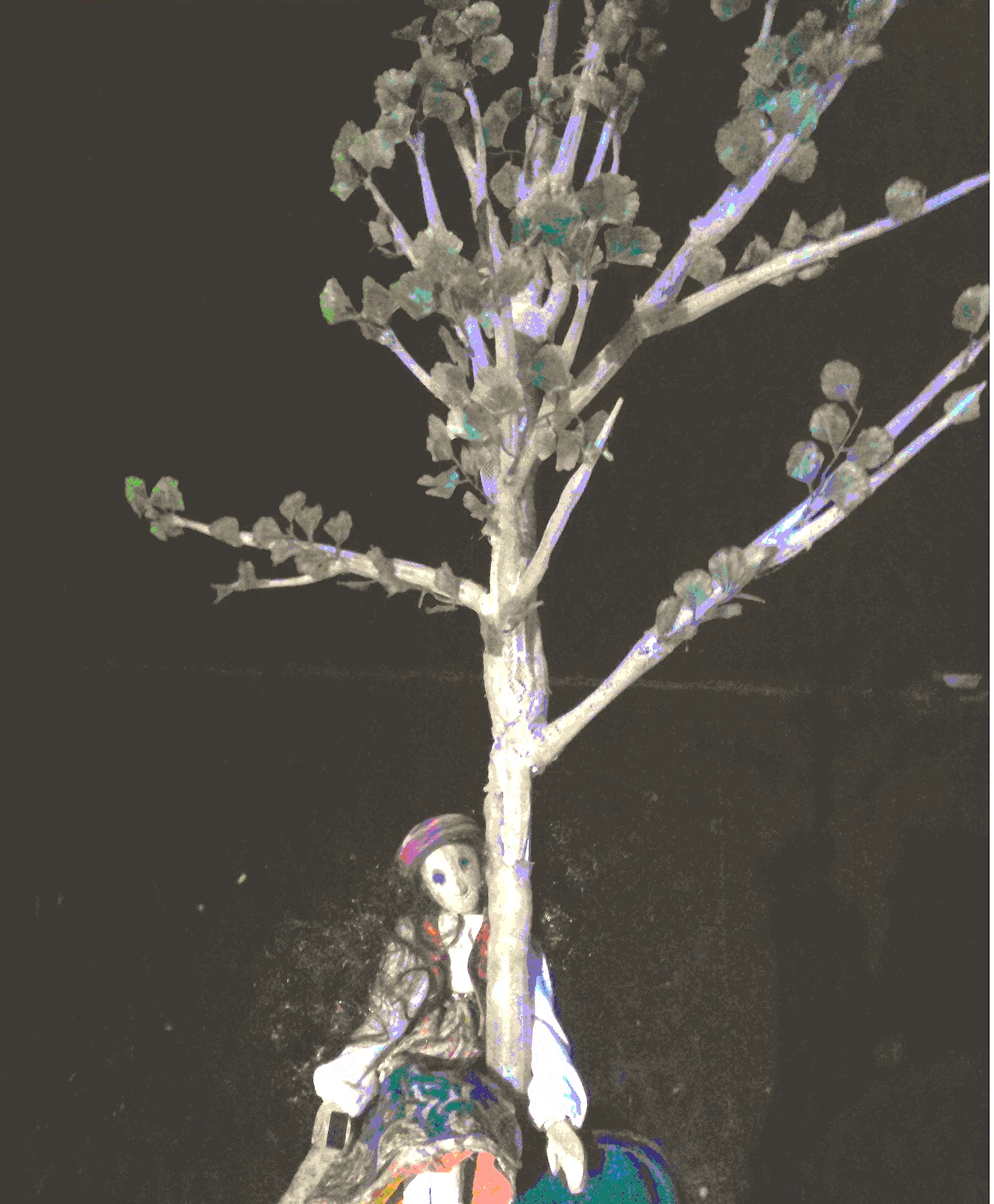 Compagnie Des Elles au Bout de Doigts