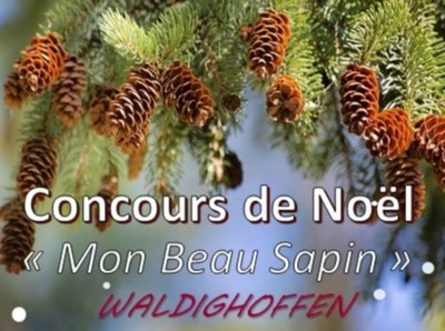 Concours de décoration de sapin 2017 - Flowview