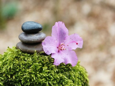 Image zen - Sophrologie - Flowview