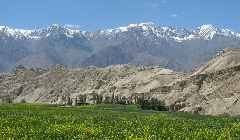 Le Ladakh - Carine Nonnenmacher, Showkat Ali Barcha