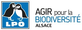 Logo LPO