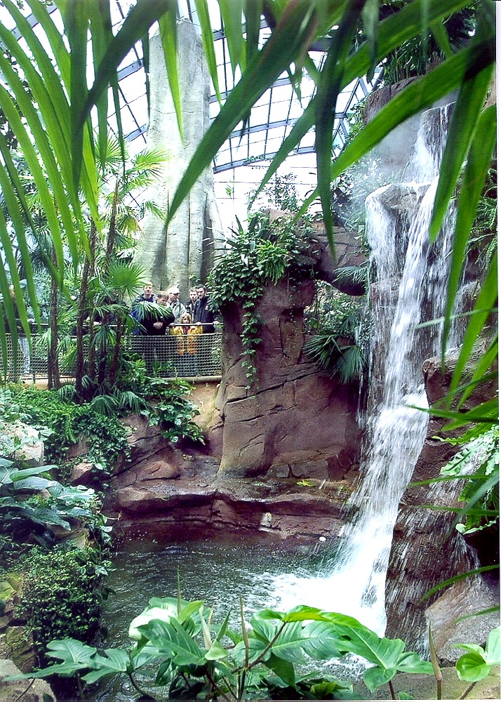 Cascade à la maison de l'Amazonie du parc Wilhelma à Stuttgart