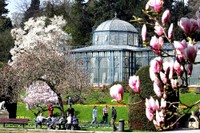 Serre historique et magnolias au parc Wilhelma à Stuttgart