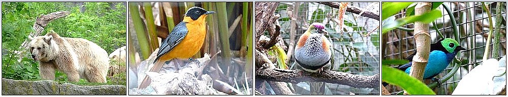 Zoo Wilhelma-photos Rouanet Christine