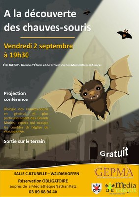 Rencontre chauves-souris 2016 - Affiche 