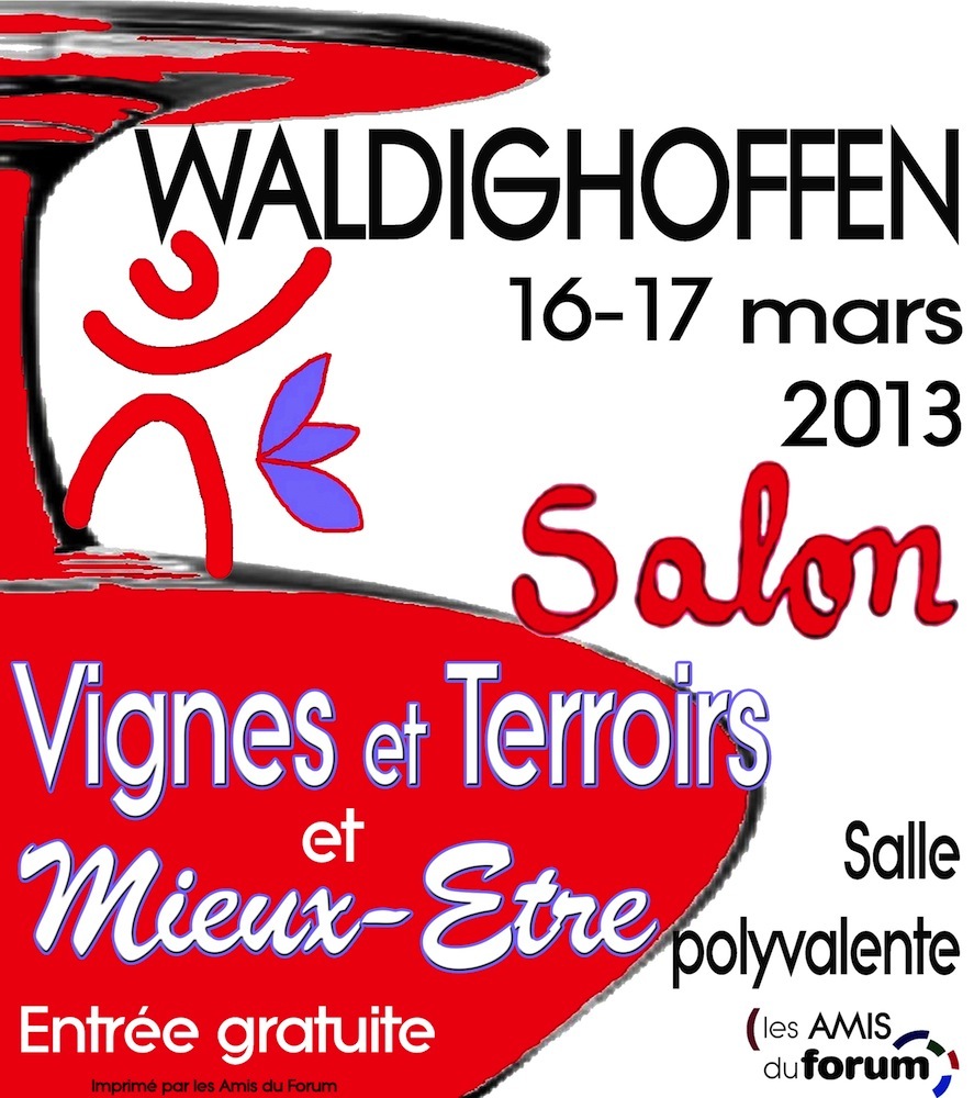 Affiche Salon VTME 2013