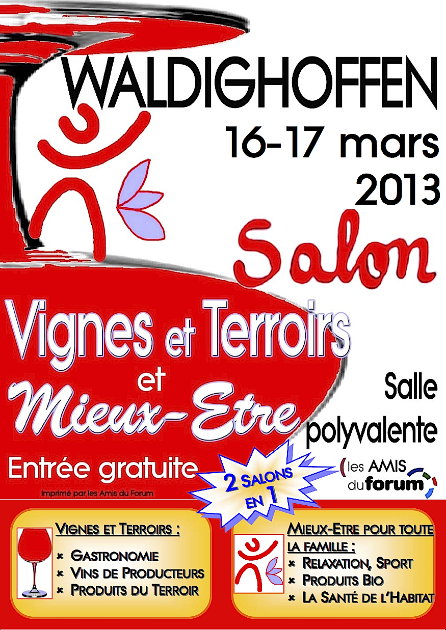 page 1 du Flyer Salon VTME 2013