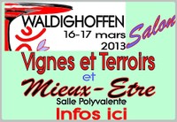 pub Salon VTME 2013