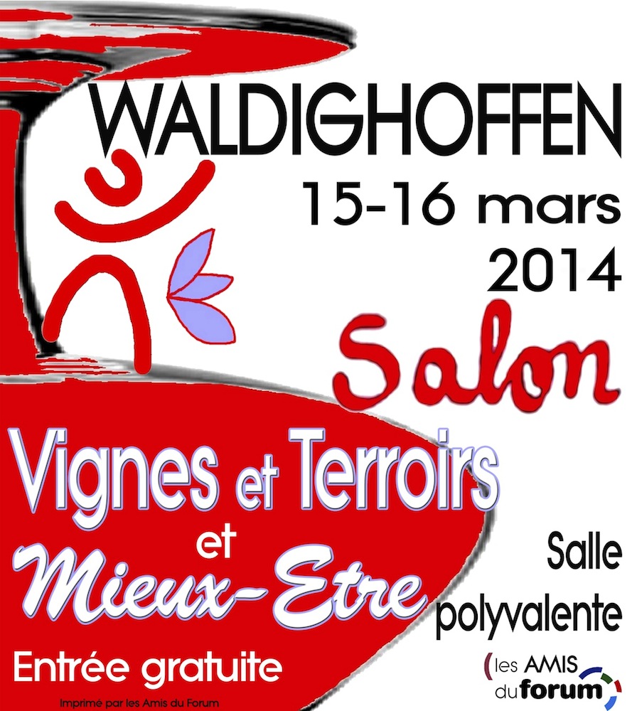 Affiche Salon VTME 2014