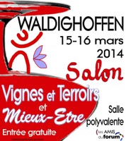 Affiche Salon VTME 2014