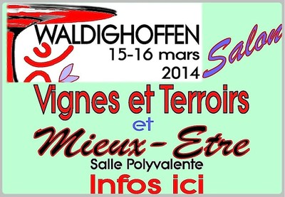 pub Salon VTME 2014