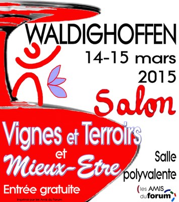 Affiche Salon VTME 2015