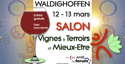 Affiche Salon VTME 2016 large