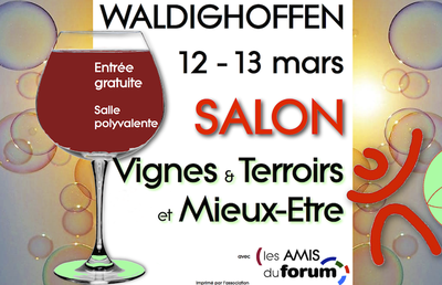 Visuel Salon VTME 2016 pour flowview