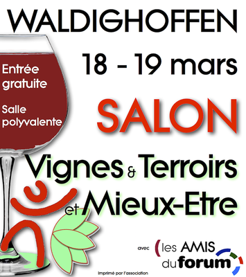 Affiche Salon VTME 2017