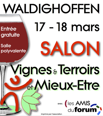 Affiche Salon VTME 2018