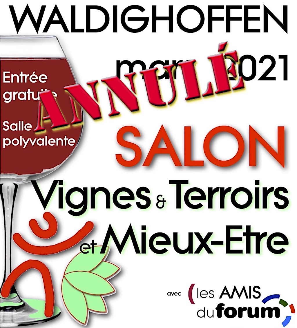 Affiche annulation VTME 2021