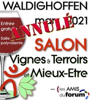 Affiche annulation VTME 2021