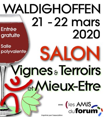 Affiche VTME 2020