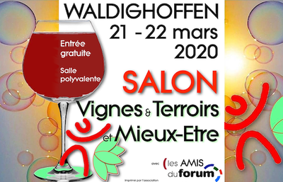 Visuel Salon VTME 2020 pr flowview