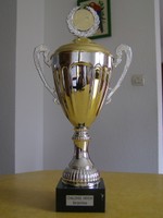 Le challenge MITRON qui sera remis au vainqueur du premier tournoi benjamines qui se disputera à Waldighoffen le samedi 18 septembre. 