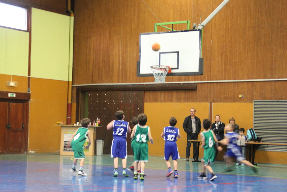 Poussins - Nord Sundgau 3.