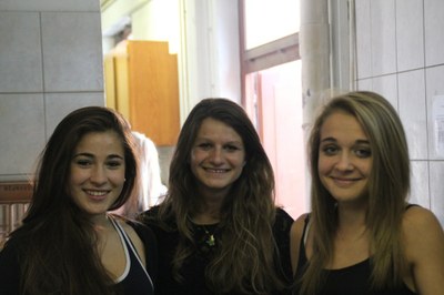 marché aux puces 2014 28.