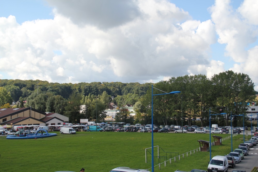 marché aux puces 2014 7.