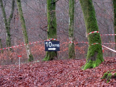 Marche - Wald'run 2018 47.