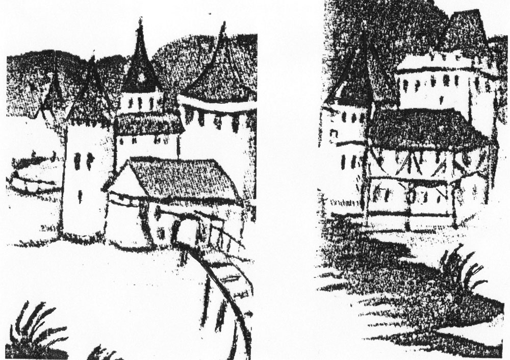 château de Waldighoffen Bibliotheque de Colmar