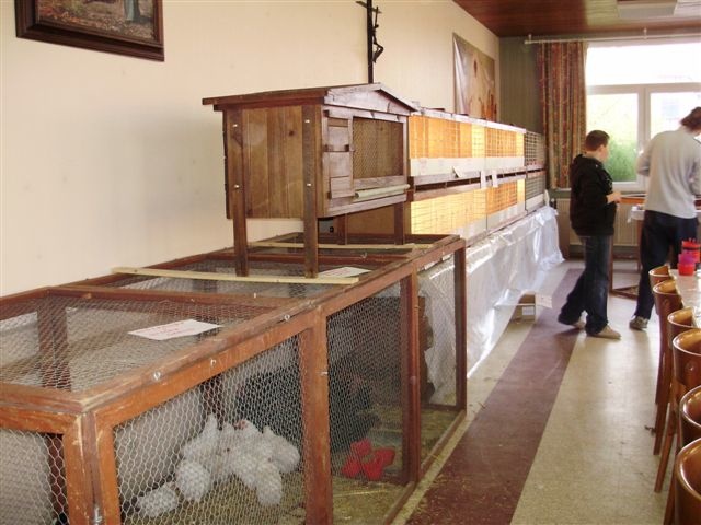 Marché aux poussins