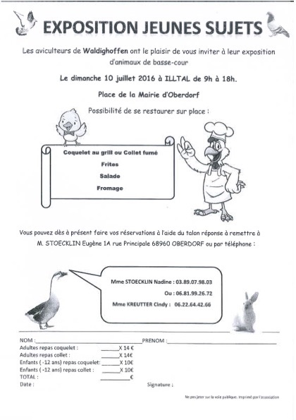 flyer exposition jeunes sujets 2016