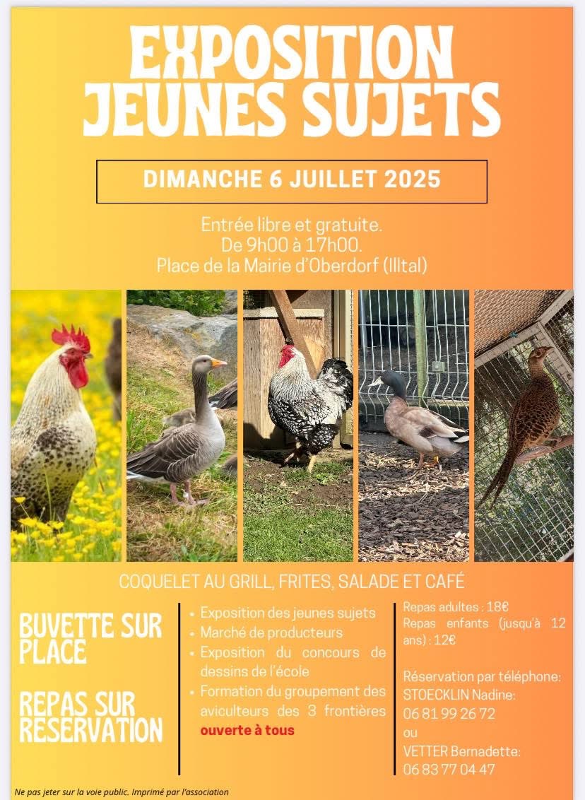 Flyers expo jeunes sujets 2025