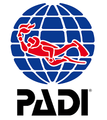 logo padi