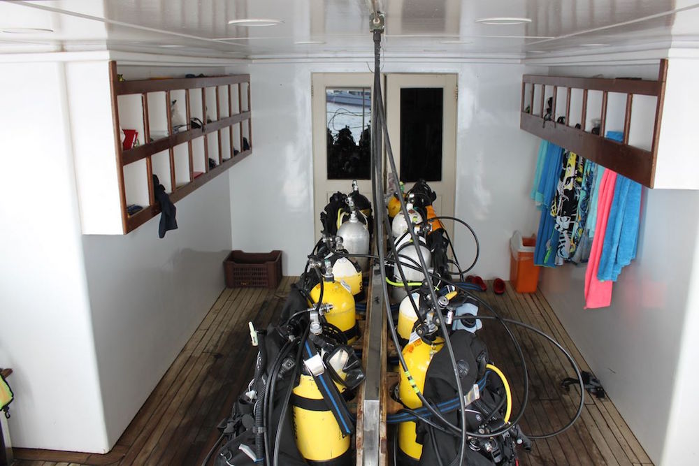 Photo eurodiving voyage egypte 2015