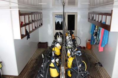 Photo eurodiving voyage egypte 2015