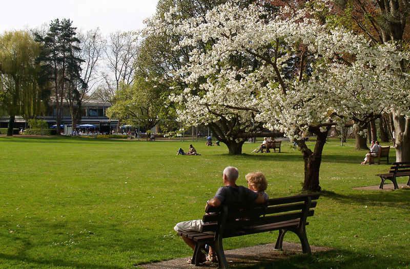Image du Kurpark à Bad Krotzingen