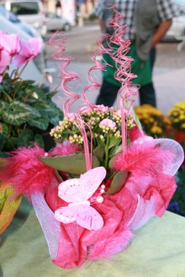 Stand sundgau fleurs arrangement rose