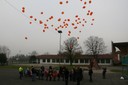 Les ballons s'envolent