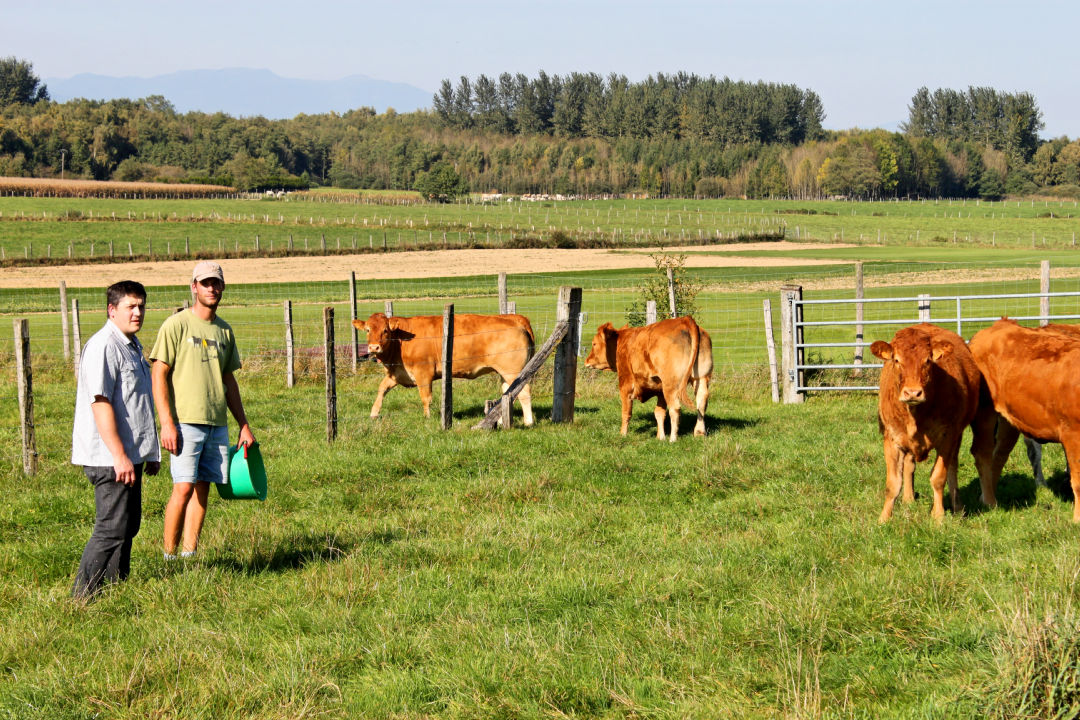 La ferme Grevillot à Brebotte