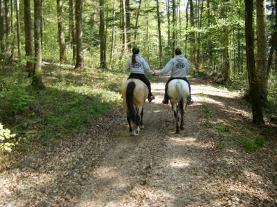 Main dans la main à cheval