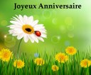 Joyeux anniversaire nature