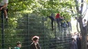 rallye de france alsace - supporters sur les barrières.JPG