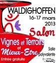 Affiche Salon VTME 2013