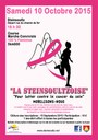 Affiche Steinsoultzoise 2015