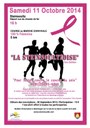 Affiche La Steinsoultzoise 2014