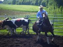 Ranch sorting